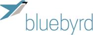 BlueByrd Strategic Sales & Marketing image 1